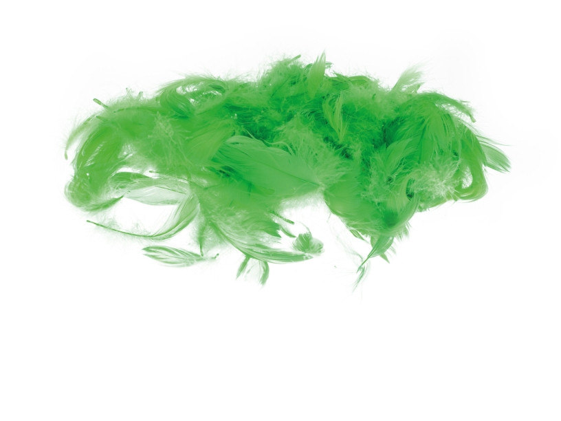 Piórka 7g (5-12cm) P7-10 Zielone Brewis